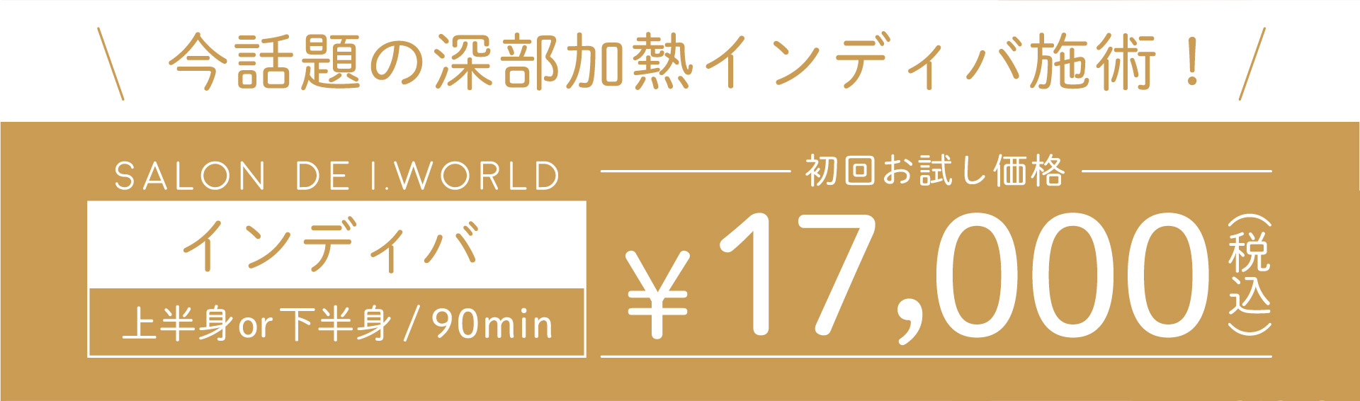 インディバフェイシャル90分15,000円